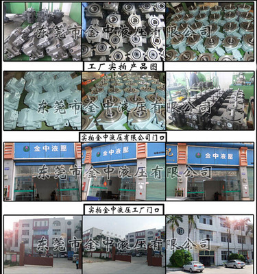 AR16變量柱塞泵 從機(jī)械通用到專業(yè)液壓系統(tǒng)的核心動力